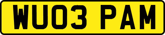 WU03PAM