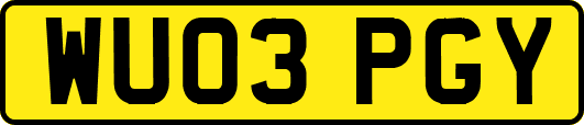 WU03PGY