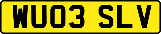 WU03SLV
