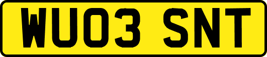 WU03SNT