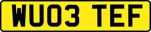 WU03TEF