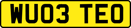 WU03TEO