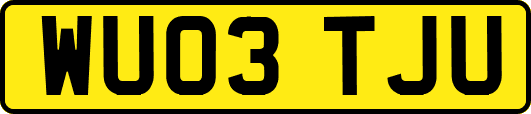 WU03TJU