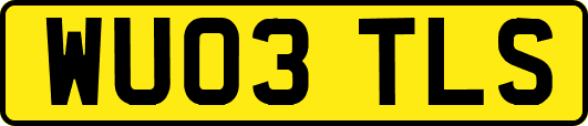 WU03TLS