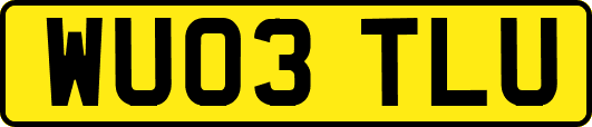 WU03TLU