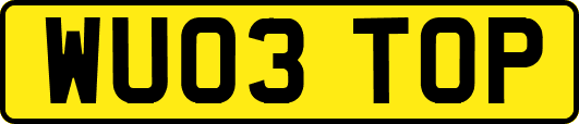 WU03TOP