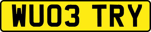 WU03TRY