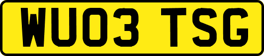 WU03TSG