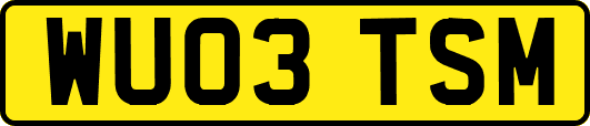WU03TSM