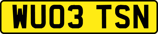 WU03TSN