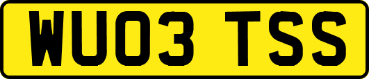 WU03TSS