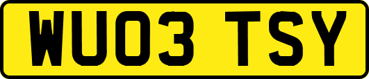 WU03TSY