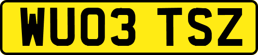 WU03TSZ