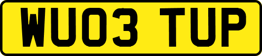 WU03TUP