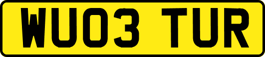WU03TUR