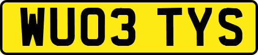 WU03TYS