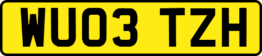 WU03TZH