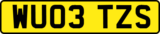 WU03TZS