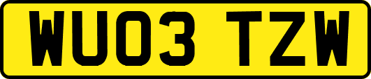 WU03TZW