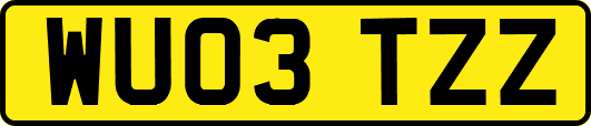 WU03TZZ