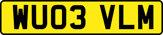 WU03VLM