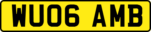 WU06AMB