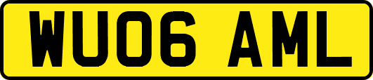 WU06AML