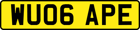 WU06APE