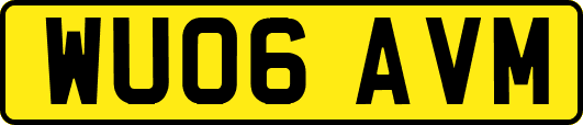 WU06AVM