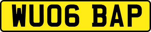 WU06BAP
