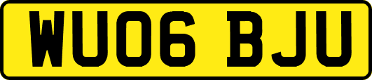 WU06BJU