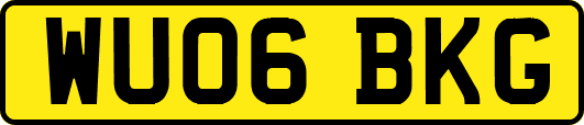 WU06BKG