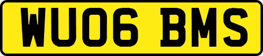 WU06BMS