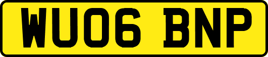 WU06BNP