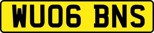 WU06BNS