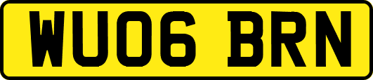 WU06BRN