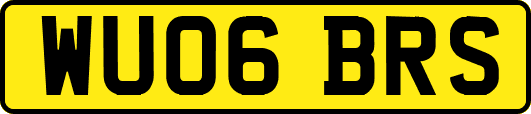 WU06BRS