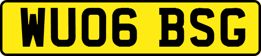 WU06BSG