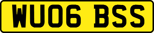 WU06BSS