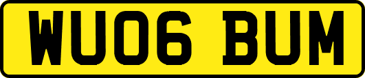 WU06BUM