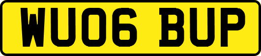 WU06BUP