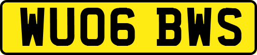 WU06BWS