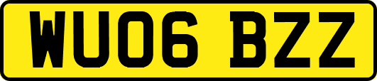 WU06BZZ