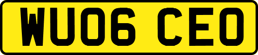 WU06CEO