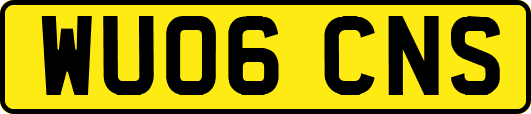 WU06CNS