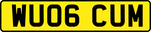 WU06CUM