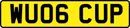 WU06CUP