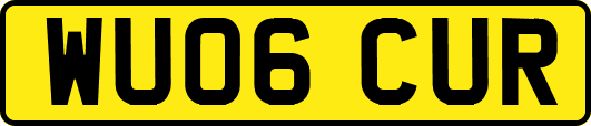 WU06CUR