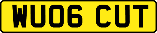 WU06CUT