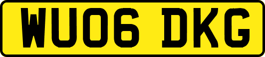 WU06DKG